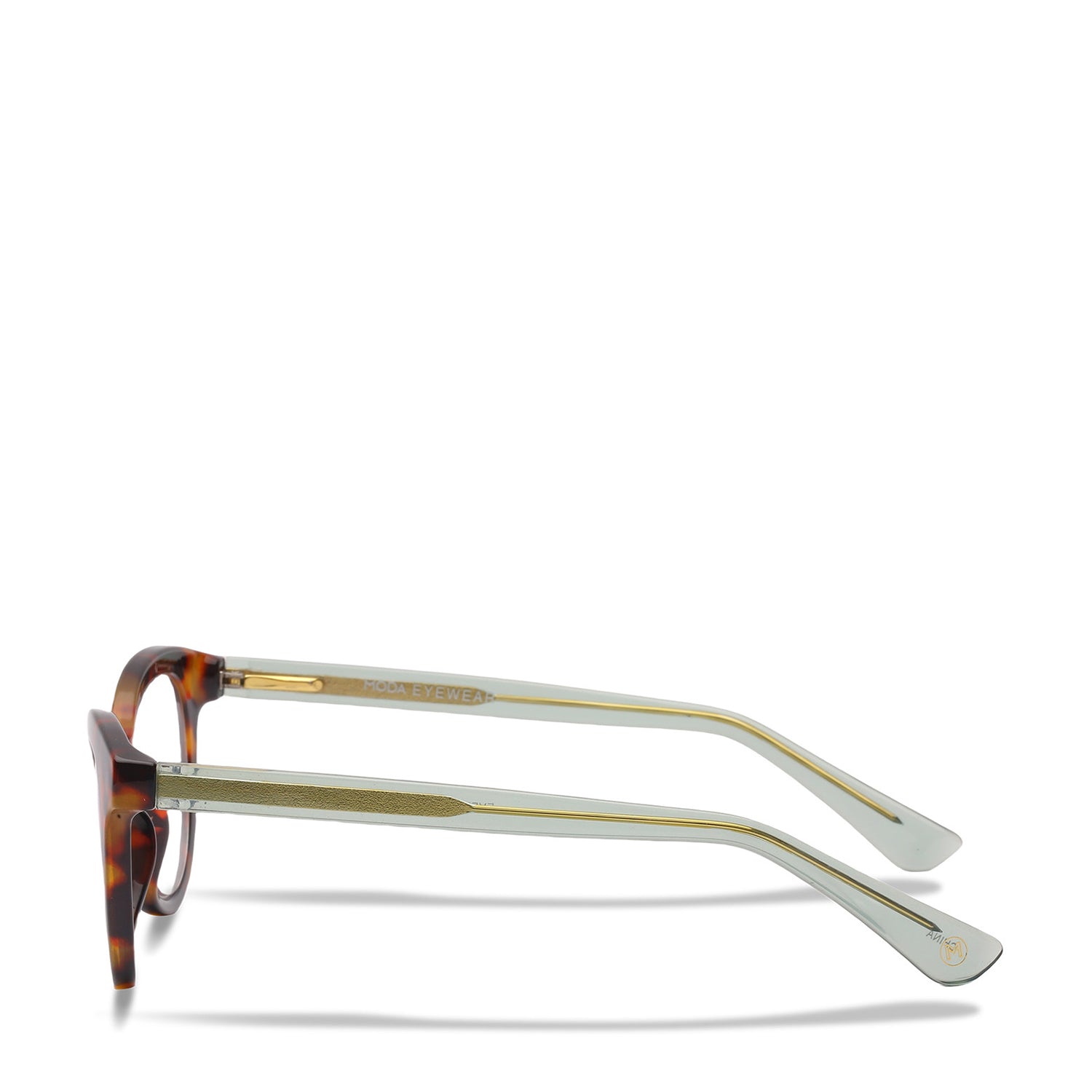 Evelyn Tortoise/Green