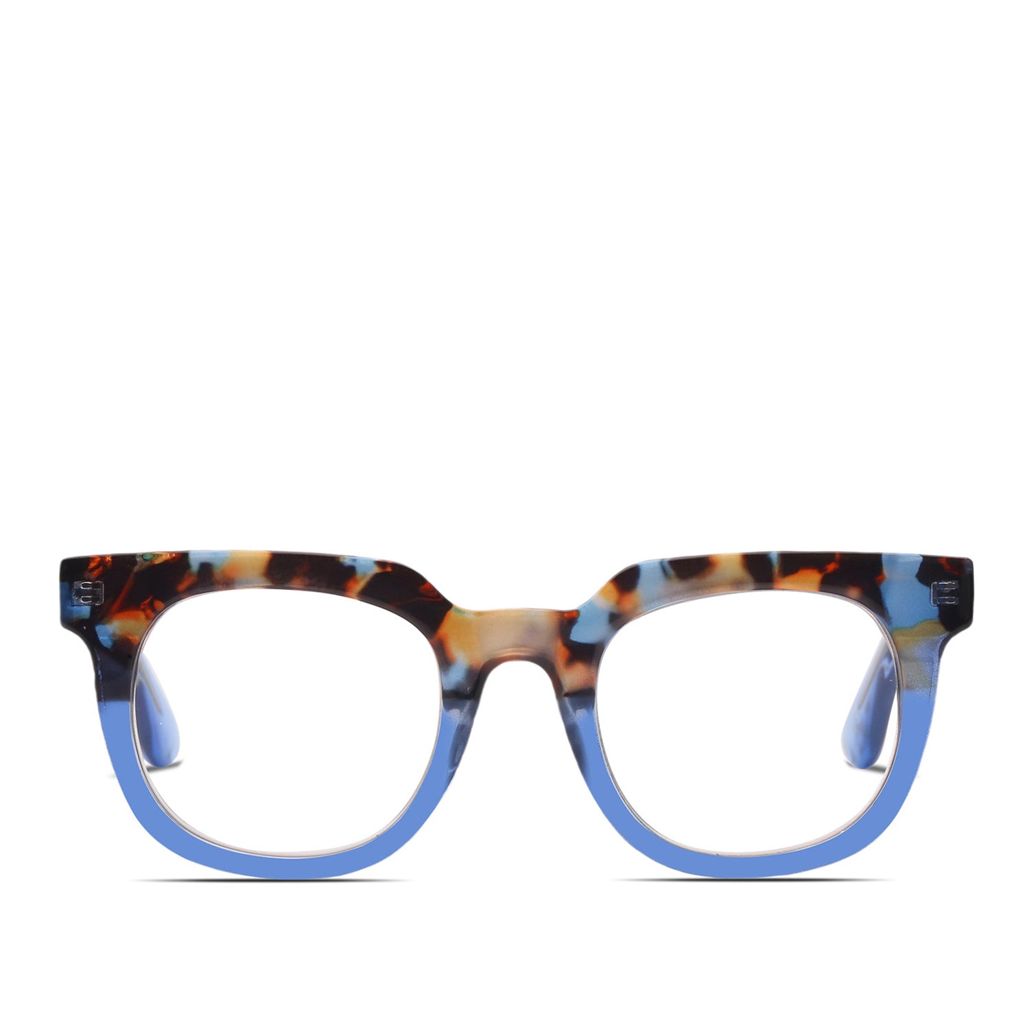 Audrey Tortoise/Blue